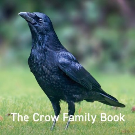 Crow Family - Jane Russ [KSIĄŻKA]