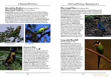 Guide To Birds Of Myanmar - Robert Tizard [KSIĄŻKA]