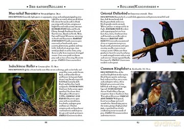 Guide To Birds Of Myanmar - Robert Tizard [KSIĄŻKA]