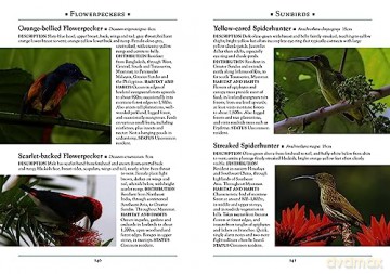 Guide To Birds Of Myanmar - Robert Tizard [KSIĄŻKA]
