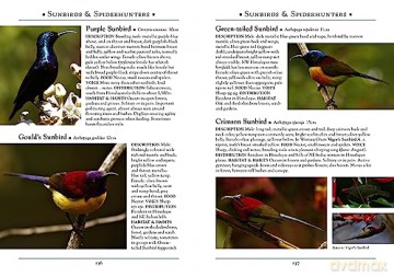 Guide To The Birds Of Nepal - Bikram Grewal [KSIĄŻKA]