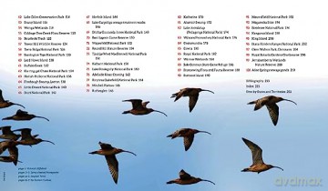 100 Best Birdwatching Sites In Australia - Sue Taylor [KSIĄŻKA]