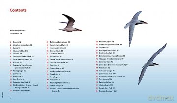 100 Best Birdwatching Sites In Australia - Sue Taylor [KSIĄŻKA]