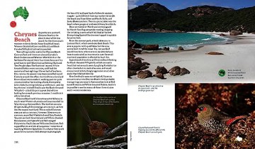 100 Best Birdwatching Sites In Australia - Sue Taylor [KSIĄŻKA]