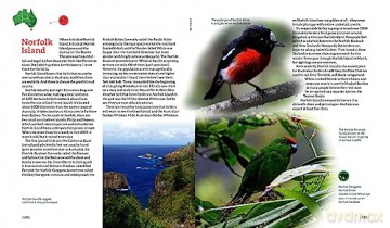 100 Best Birdwatching Sites In Australia - Sue Taylor [KSIĄŻKA]
