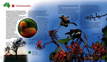 100 Best Birdwatching Sites In Australia - Sue Taylor [KSIĄŻKA]