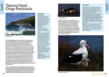 50 Best Birdwatching Sites/New Zealand - Liz Light [KSIĄŻKA]