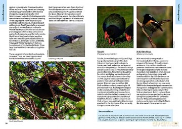 50 Best Birdwatching Sites/New Zealand - Liz Light [KSIĄŻKA]