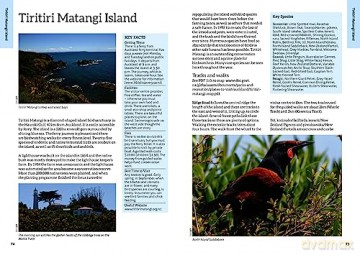 50 Best Birdwatching Sites/New Zealand - Liz Light [KSIĄŻKA]