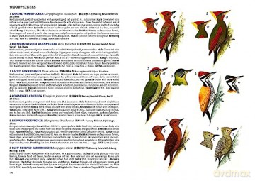 Field Guide To The Birds Of Singapore - Lim Kim Et Al Seng [KSIĄŻKA]