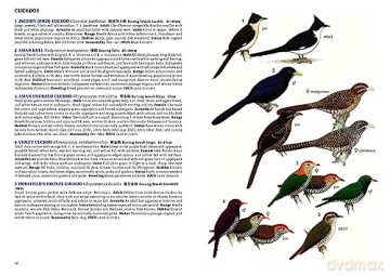 Field Guide To The Birds Of Singapore - Lim Kim Et Al Seng [KSIĄŻKA]