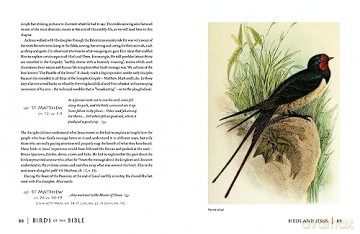 Birds Of The Bible - Peter Goodfellow [KSIĄŻKA]