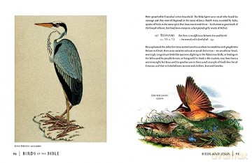 Birds Of The Bible - Peter Goodfellow [KSIĄŻKA]