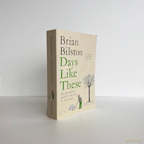 Days Like These - Brian Bilston [KSIĄŻKA]
