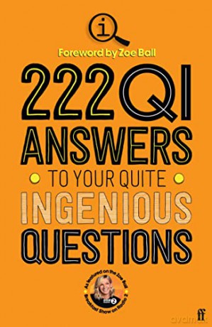 222 Qi Answers To Your Quite Ingenious - Qi Elves [KSIĄŻKA]