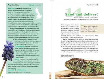 52 Wildlife Weekends - James Lowen [KSIĄŻKA]