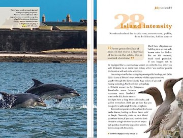 52 Wildlife Weekends - James Lowen [KSIĄŻKA]