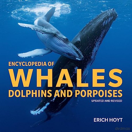 Encyclopedia Of Whales Dolphins/Porpoise - Erich Hoyt [KSIĄŻKA]