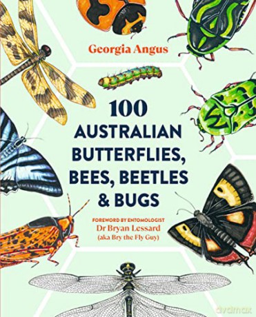 100 Australian Butterflies Bees Beetles - Georgia Angus [KSIĄŻKA]