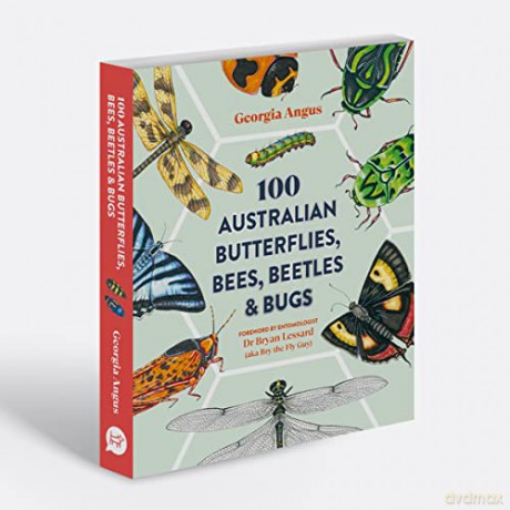 100 Australian Butterflies Bees Beetles - Georgia Angus [KSIĄŻKA]