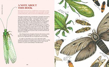 100 Australian Butterflies Bees Beetles - Georgia Angus [KSIĄŻKA]