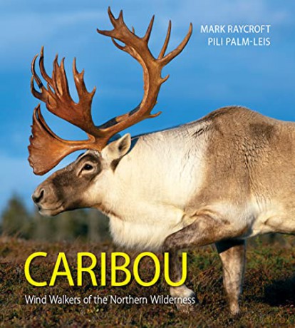 Caribou - Mark Raycroft [KSIĄŻKA]