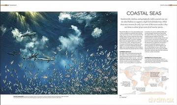 Habitats - Dk [KSIĄŻKA]