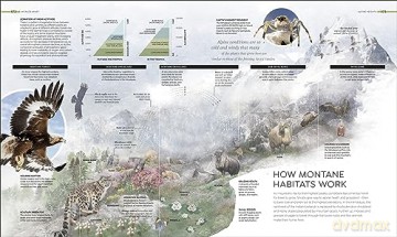 Habitats - Dk [KSIĄŻKA]