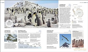 Habitats - Dk [KSIĄŻKA]
