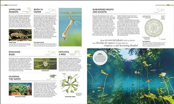 Habitats - Dk [KSIĄŻKA]