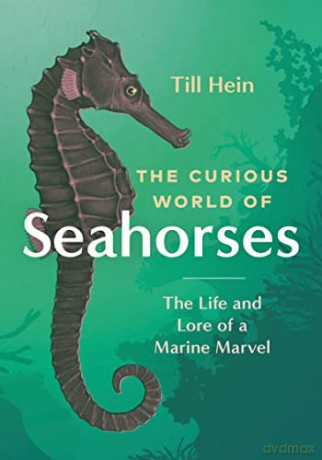 Curious World Of Seahorses - Till Hein [KSIĄŻKA]