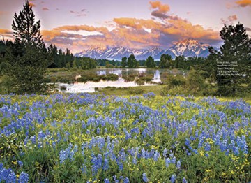 Compass American Guides Yellowstone An [KSIĄŻKA]