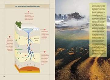 Compass American Guides Yellowstone An [KSIĄŻKA]