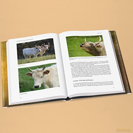 Chillingham Cattle - Bahn Paul [KSIĄŻKA]