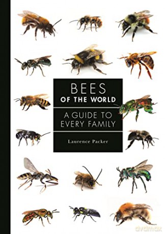 Bees Of The World - Laurence Packer [KSIĄŻKA]