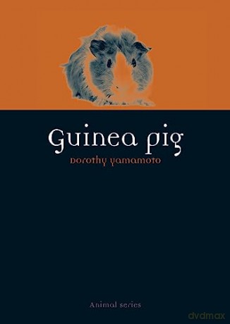 Guinea Pig - Dorothy Yamamoto [KSIĄŻKA]