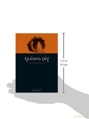 Guinea Pig - Dorothy Yamamoto [KSIĄŻKA]
