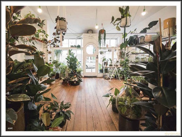 500 Hidden Secrets Of Brussels [KSIĄŻKA]