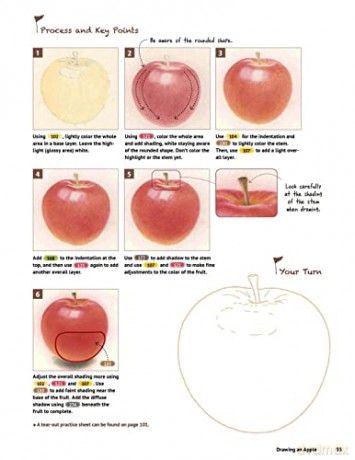 Beginners Guide/Colored Pencil Drawing - Yoshiko Watanabe [KSIĄŻKA]