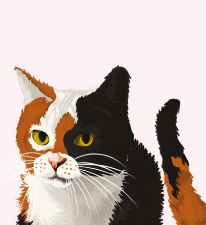 Cat Who Who Caught A Killer - Lt Shearer [KSIĄŻKA]