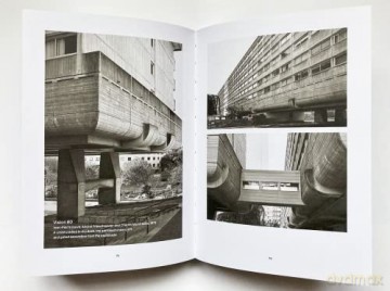 Brutalist Paris - Robin Wilson [KSIĄŻKA]