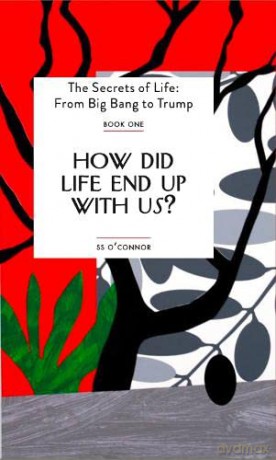 How Did Life End Up With Us - Sean O'connor [KSIĄŻKA]