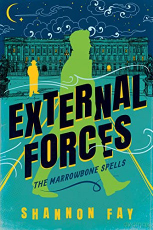 External Forces - Shannon Fay [KSIĄŻKA]