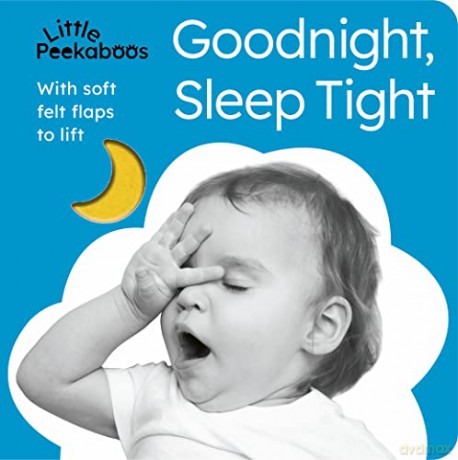 Goodnight Sleep Tight - Sophie Aggett [KSIĄŻKA]