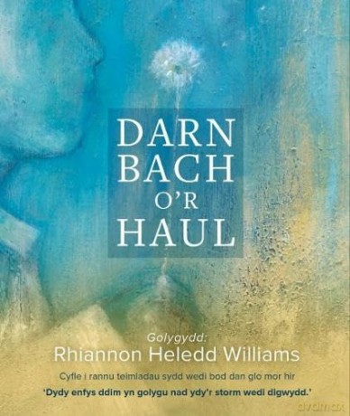 Darn Bach Or Haul - Rhiannon Williams [KSIĄŻKA]