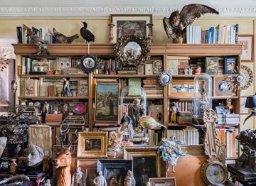 Extraordinary Collections - Marin Montagut [KSIĄŻKA]