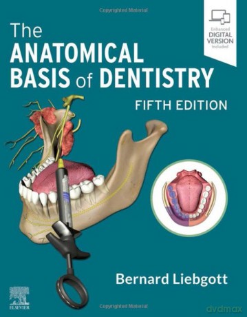 Anatomical Basis Of Dentistry - Bernard Liebgott [KSIĄŻKA]