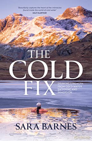 Cold Fix - Sara Barnes [KSIĄŻKA]