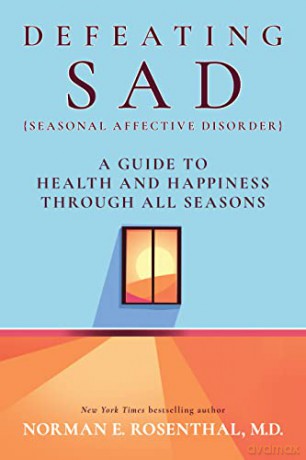 Defeating Sad [KSIĄŻKA]