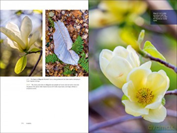The Art Of Gardening - Thomas William [KSIĄŻKA]